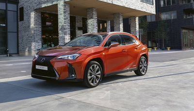 Alfombrillas Lexus UX 250h (2019-2025)